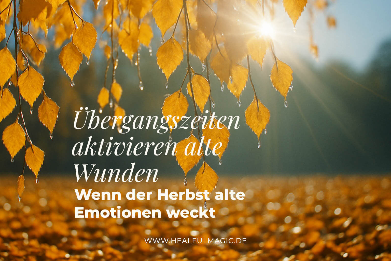 Herbst, Übergangszeit